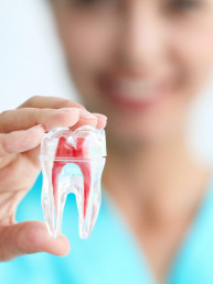 Dentist vs orthodontist